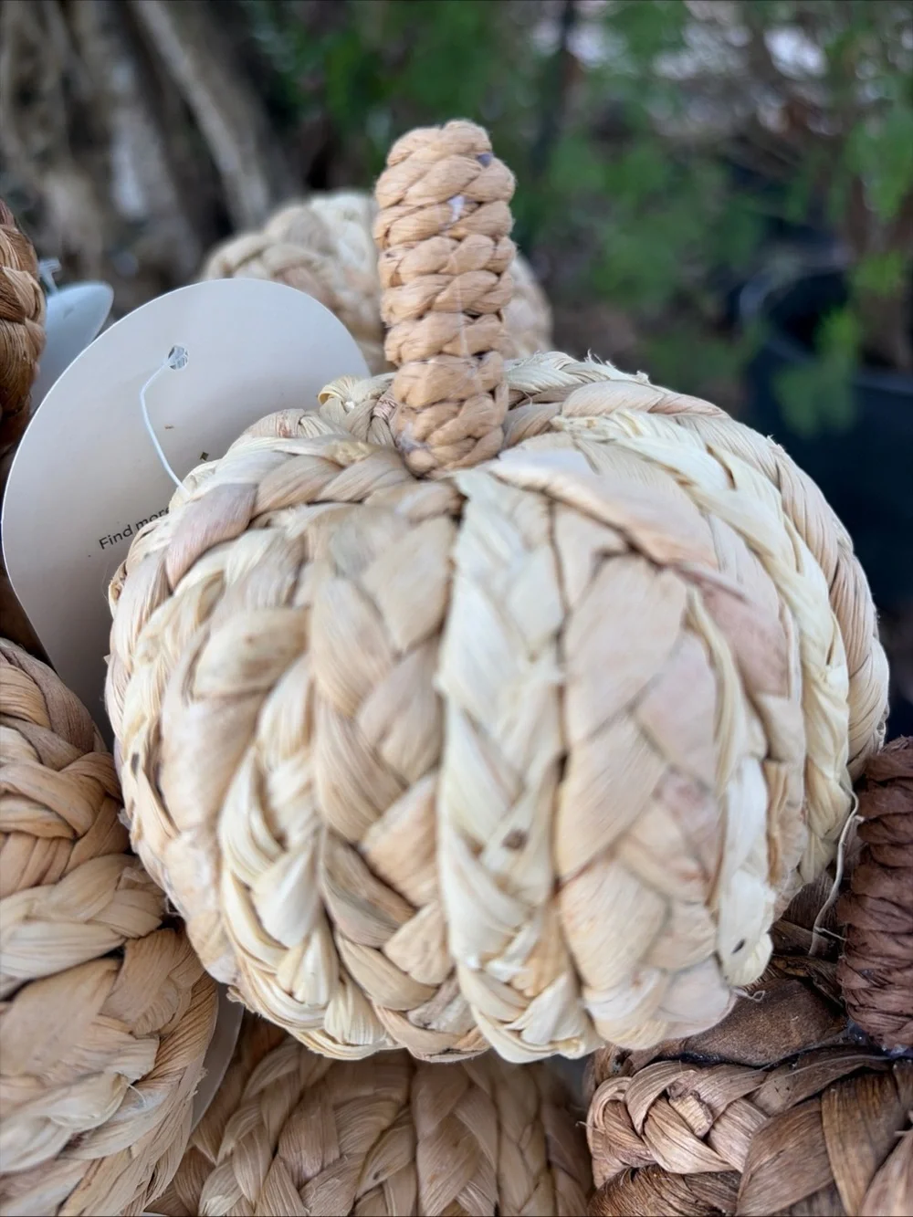 Natural Brown Woven Pumpkin Home Accent